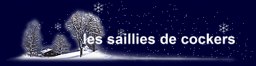 les saillies de cockers